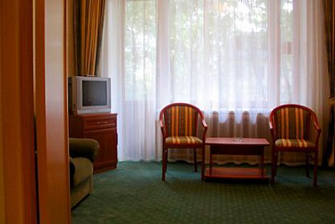 �����- ����� 17